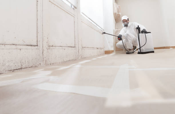 24/7 Emergency Mold Removal experts in Arlington Heights, WA